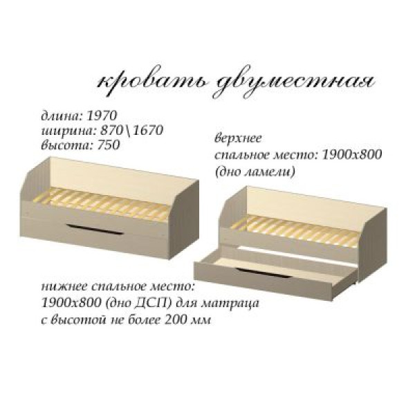 Дитяча Аякс 2